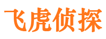 灵山市调查取证